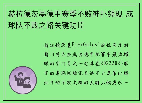 赫拉德茨基德甲赛季不败神扑频现 成球队不败之路关键功臣