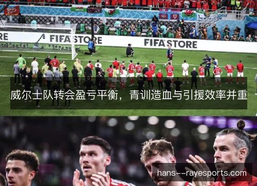 威尔士队转会盈亏平衡，青训造血与引援效率并重